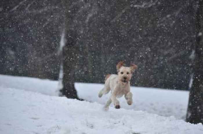 Met Office and BBC Weather issue fresh verdict over -1C snow hitting UK