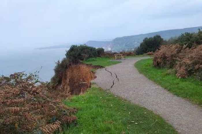 South West coast path collapses next to family picnic spot - in pictures