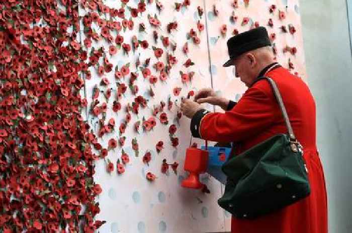 Search First World War and Second World War casualties as UK prepares for Remembrance Sunday 2024