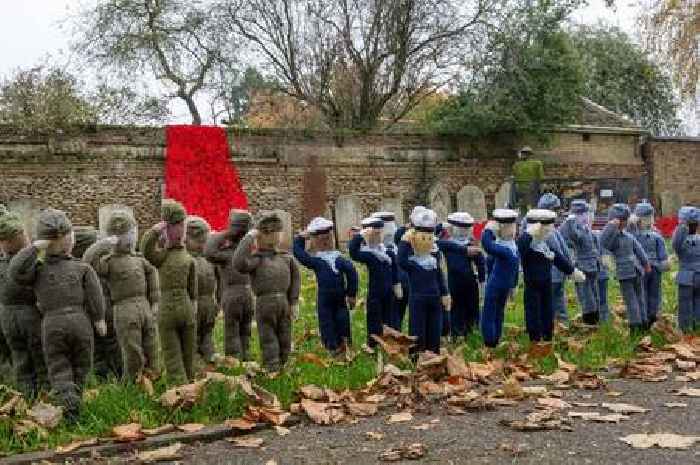 Thousands of knitted poppies decorate Cambridgeshire town for Remembrance Day