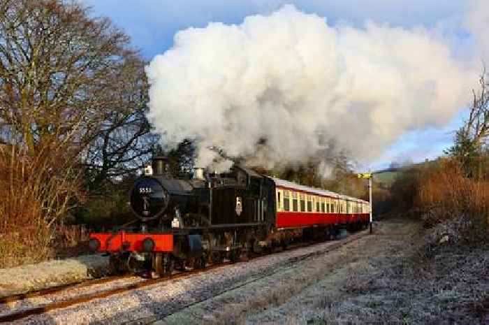 Devon steam train launches 4-course Christmas feast