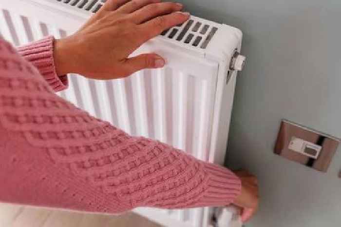 The simple hack to reduce energy bills as expert reveals 10-minute radiator check ahead of winter