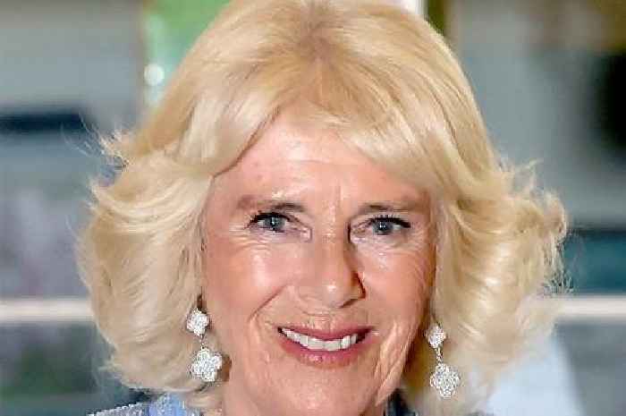 Queen Camilla too ill to attend Remembrance Sunday events, palace confirm