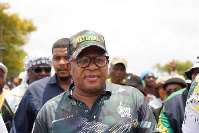 News24 | Mbalula calls for SANDF to help police crack down on spaza shops selling expired food