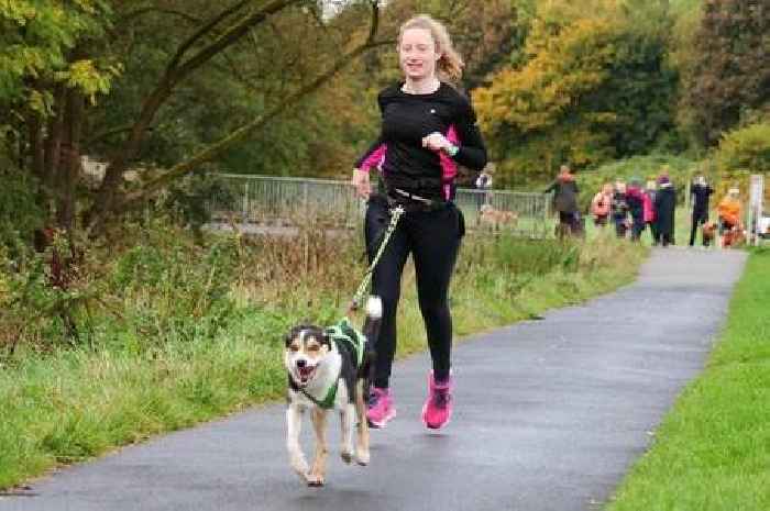 'I knew my dog was poorly when he stopped singing along to Shania Twain'