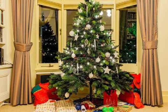 Experts say 'avoid placing your Christmas tree in a bay window' this year