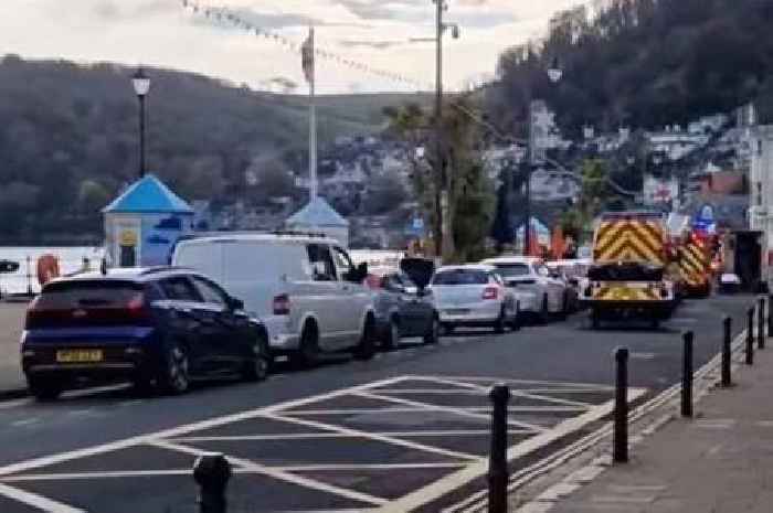 Dartmouth incident: Man dies after car plunges into river