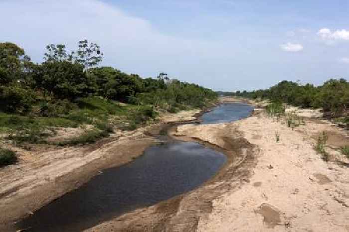 COP29: What world leaders can learn from indigenous communities