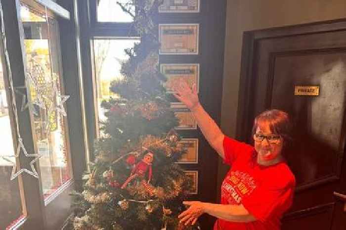 Chance to spread festive cheer as Hull pub launches Giving Tree for care home