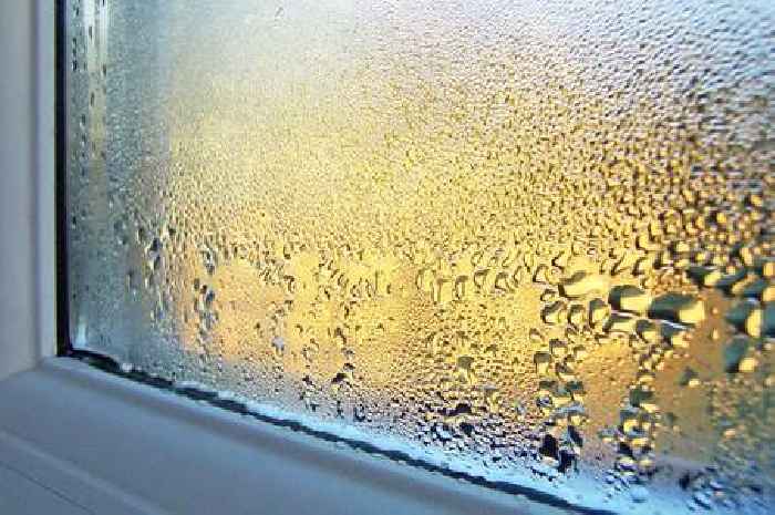 Prevent 'dangerous' mould spreading in morning - natural 10 minute solution