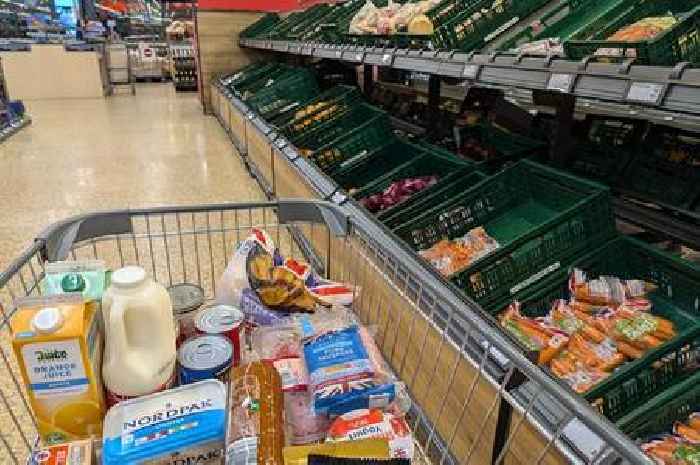 'I bought a week's shop at Aldi and Lidl to see which is cheapest - there was a clear winner'