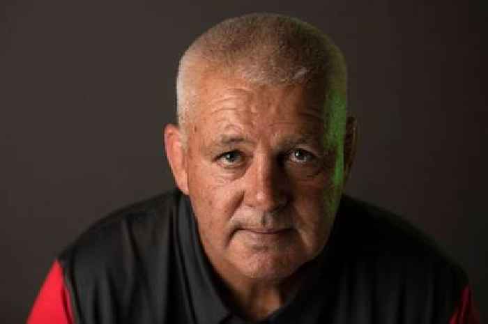 The narrative around Wales has been created by Warren Gatland and results alone