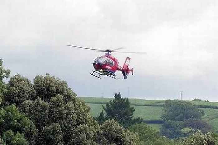 Devon man drowned in pond while tending to 'pride and joy' lawn