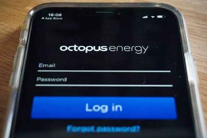 Octopus Energy to give '£0 bills' to 100,000 homes by 2030