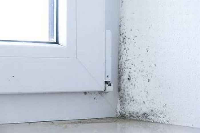 Stop mould growing in your home this winter with expert's free hack