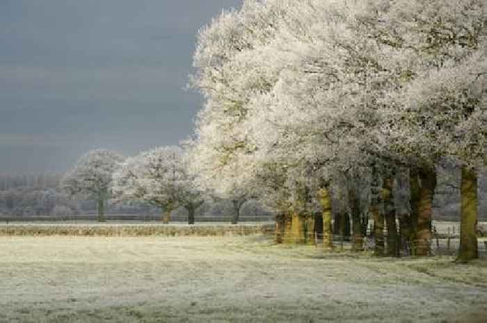 Met Office weather maps show how cold it will get as Arctic blast hits