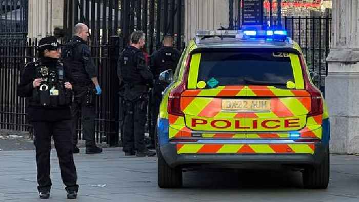 Man arrested after reports of person carrying knives outside Houses of Parliament