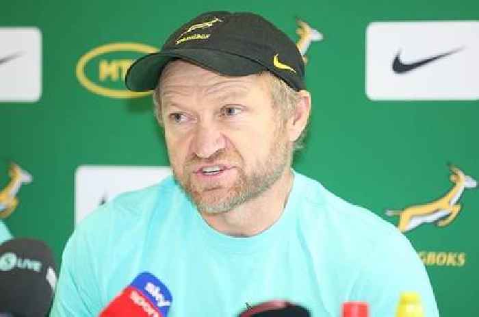 News24 | Boks will be Boks while evolving attack under Brown: 'I won't teach us to play like All Blacks'