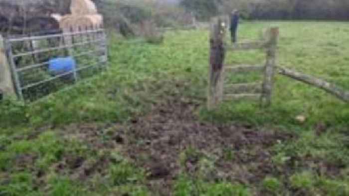 Walk to school over field and railway 'safe route'