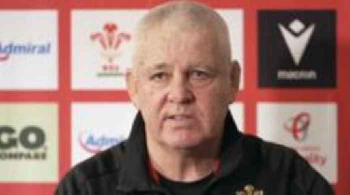 'I didn't think there'd be this much pain' - Gatland