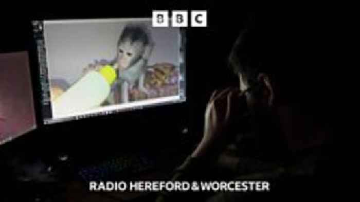 Worcestershire women jailed in 'monkey torture' case