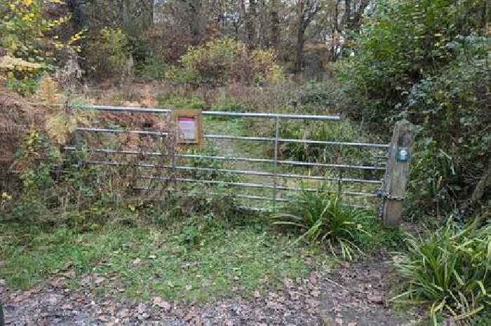 RSPCA praise local heroes as 80 rabbits rescued from wood with 23 dead 'showing signs of fighting'