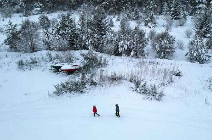 UK to freeze in 'Arctic wind' blast as Met Office shares snow verdict