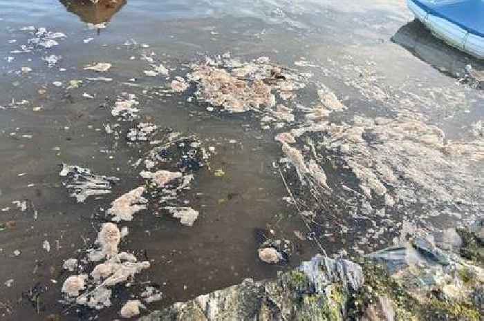 High levels of E.coli found at Devon beach after swimmers fall ill