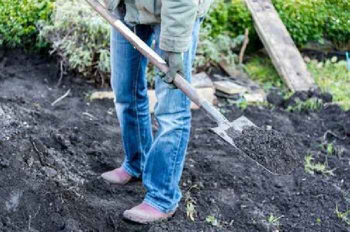 Gardening expert issues four-word warning as wintry weather sets in