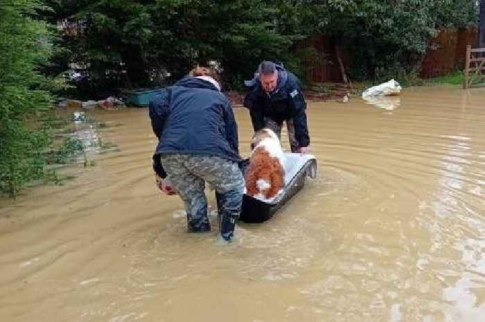 'Climate change a real risk' says Lincolnshire fire chief amid huge rise in flooding