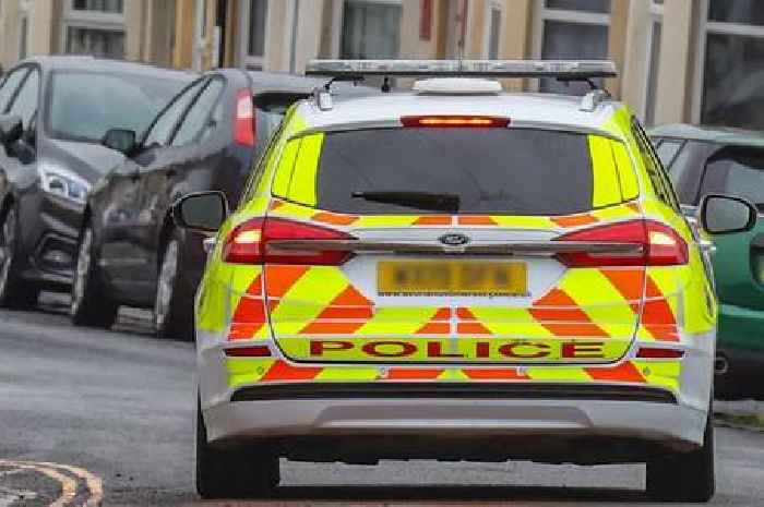 Live: Urgent hunt for girl last seen being forced into car in Somerset