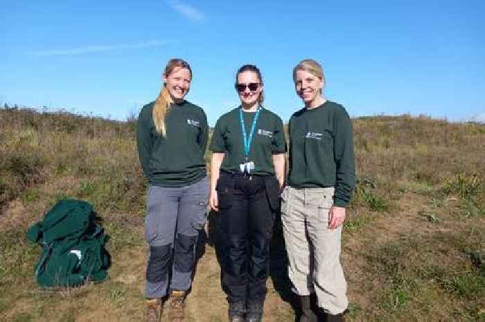 Somerset welcomes new rangers to enhance local green spaces