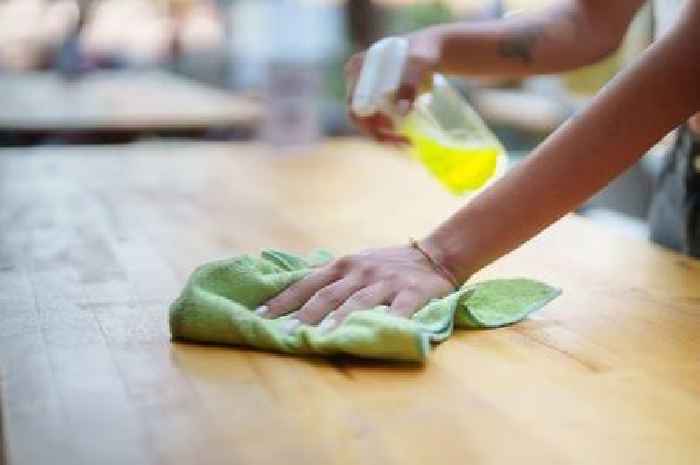 Mum's 'magic' homemade dusting spray that works 'for a whole month'