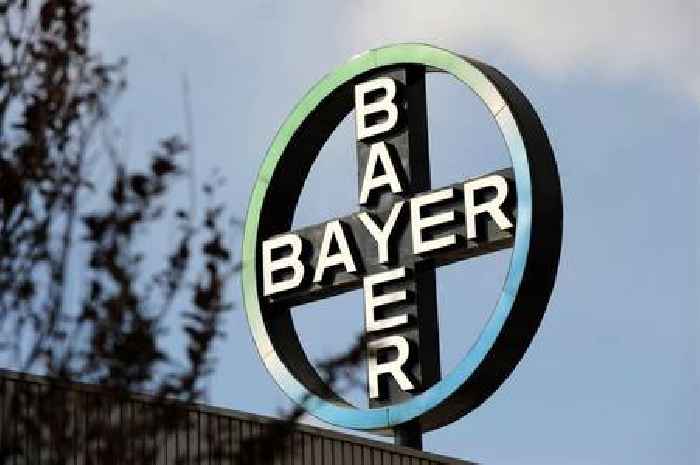 Bayer share price analysis: why is this DAX index stock falling apart?