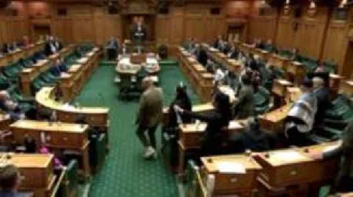 Haka disrupts NZ parliament amid protest over bill to reinterpret treaty