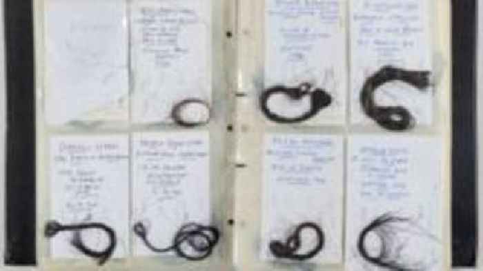 Champion racehorse hair collection sold at auction