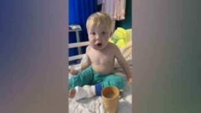 Boy, 2, 'lucky to be alive' after bully dog attack