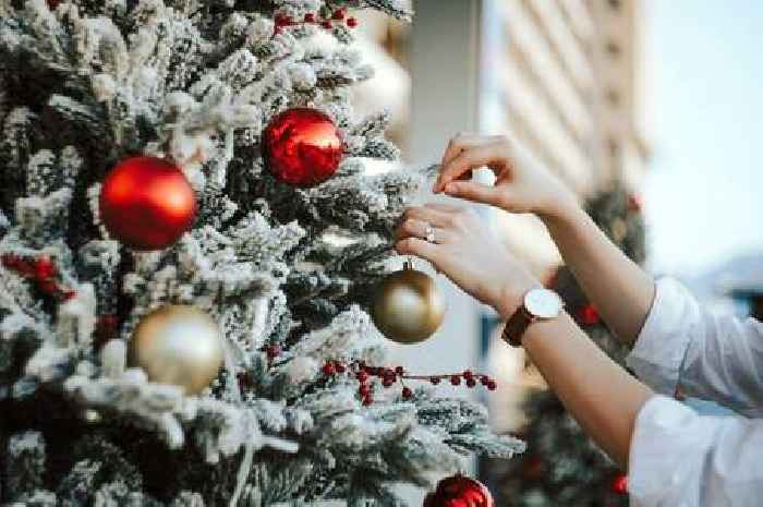 Have your say! - If you celebrate, when do you put up your Christmas decorations?