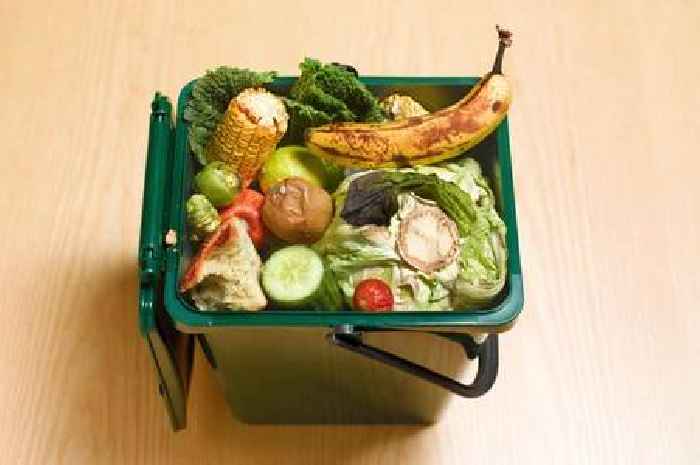 New food waste bins coming to hundreds of Guildford homes