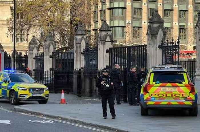 Cambridgeshire man charged after incident outside Houses of Parliament