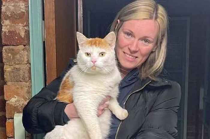 Missing Scots cat found 300 miles away in England after 'going for a wander'