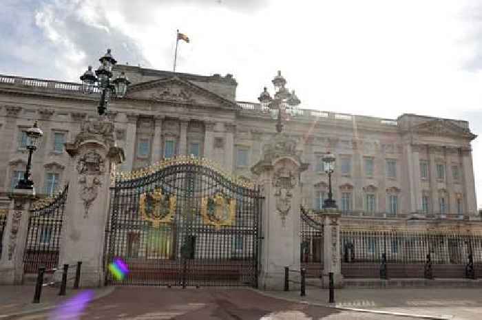 Man who killed his friend in knife attack had tried to break into Buckingham Palace