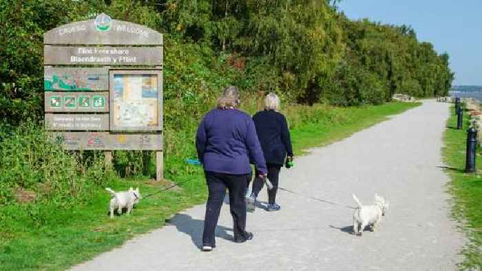 Call for dog-free areas in Wales to tackle racism