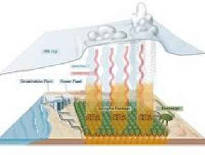 Extreme heat disrupts land's carbon absorption abilities