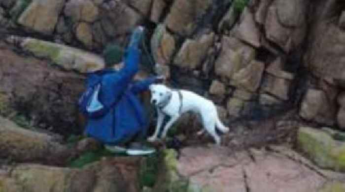 Moment dog saved from cliff by rescuers