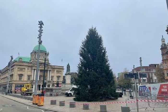 Excitement builds for Christmas lights switch-on as tree arrives in Hull city centre