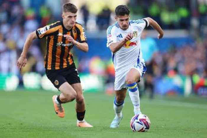 'Hard to handle' - Tim Walter lays down firm challenge to Hull City man