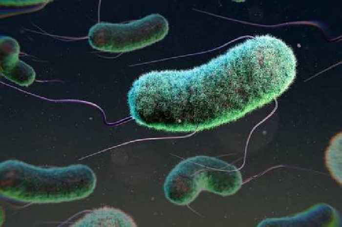 Highly contagious superbug is resistant to antibiotics and hitting UK