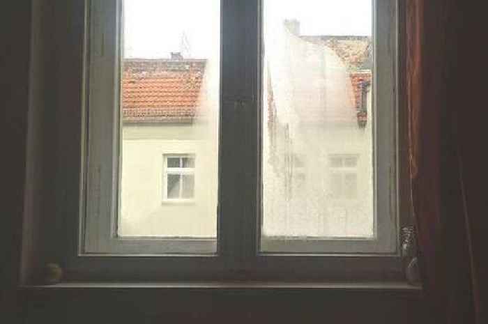 Stop condensation forming on your windows in three easy steps as temperatures plummet