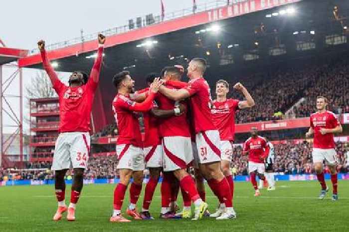 Nottingham Forest player ratings for season so far as three players shine and one has work to do